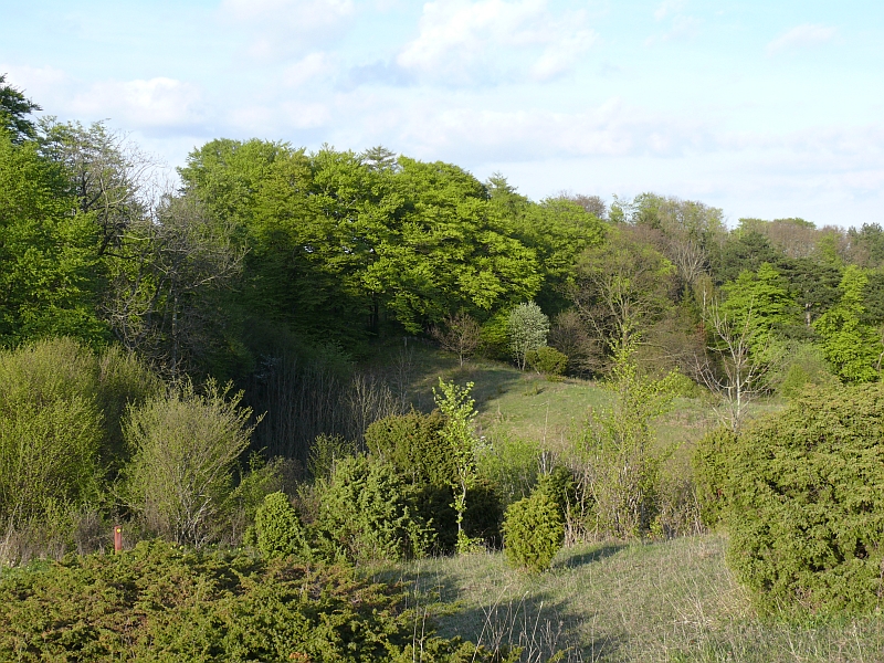 Høvblege view