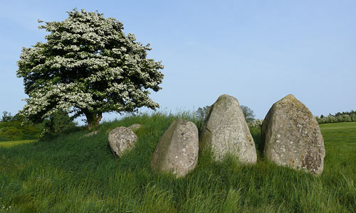 Busemarke Dysse, Møn, 2008