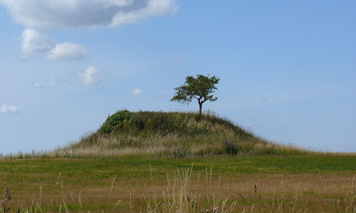 Barhøj, Damme, Møn, 2008