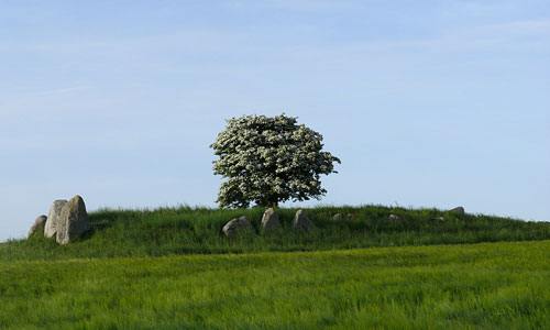 The mighty border stones of Busemarke Dysse