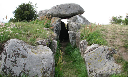 Sprove Dysse, 2008, Møn
