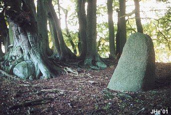 Bauta stone at Karensby, Møn, photo by JHe