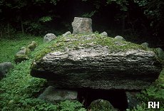 Marienborg's fake long barrow as seen from the top