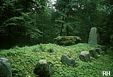 Marienborg's fake long barrow as seen from the side