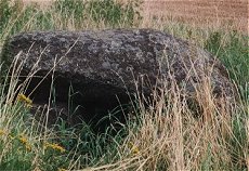 Mound at Røddinge/Store Lind